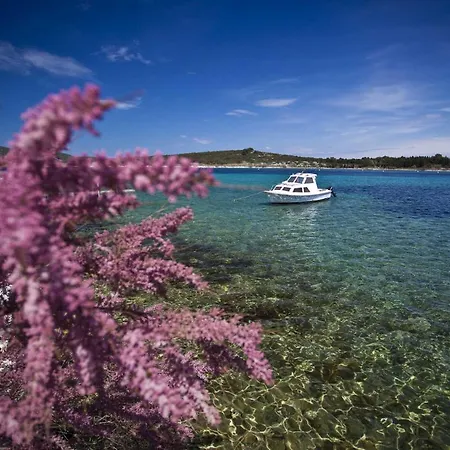 Exclusive Milahomes By The Sea, Boot Mooring And Private Parking Apartment Mali Losinj